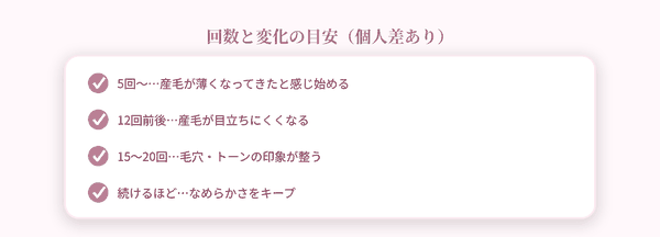 回数の目安