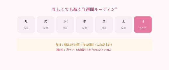 1�T�Ԃ̗���̃C���X�g