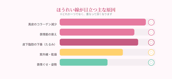 ほうれい線の主な原因