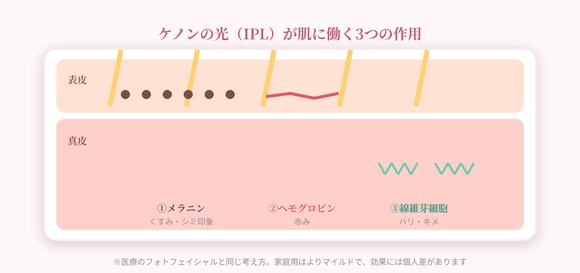 光が肌に働く仕組みのイラスト