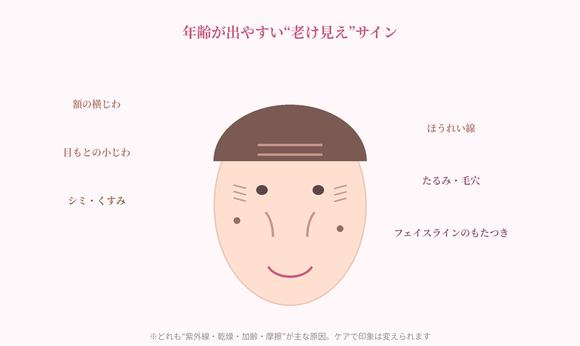 顔のしわ部位のイラスト